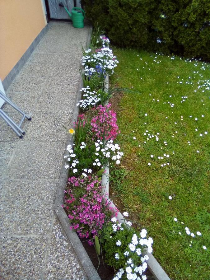 Iris Room & Apartment Slunj Exterior foto